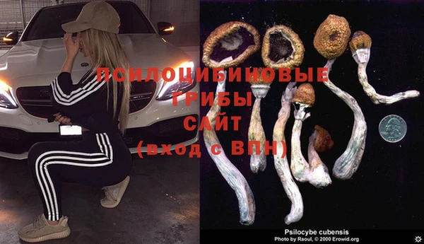 спайс Магадан